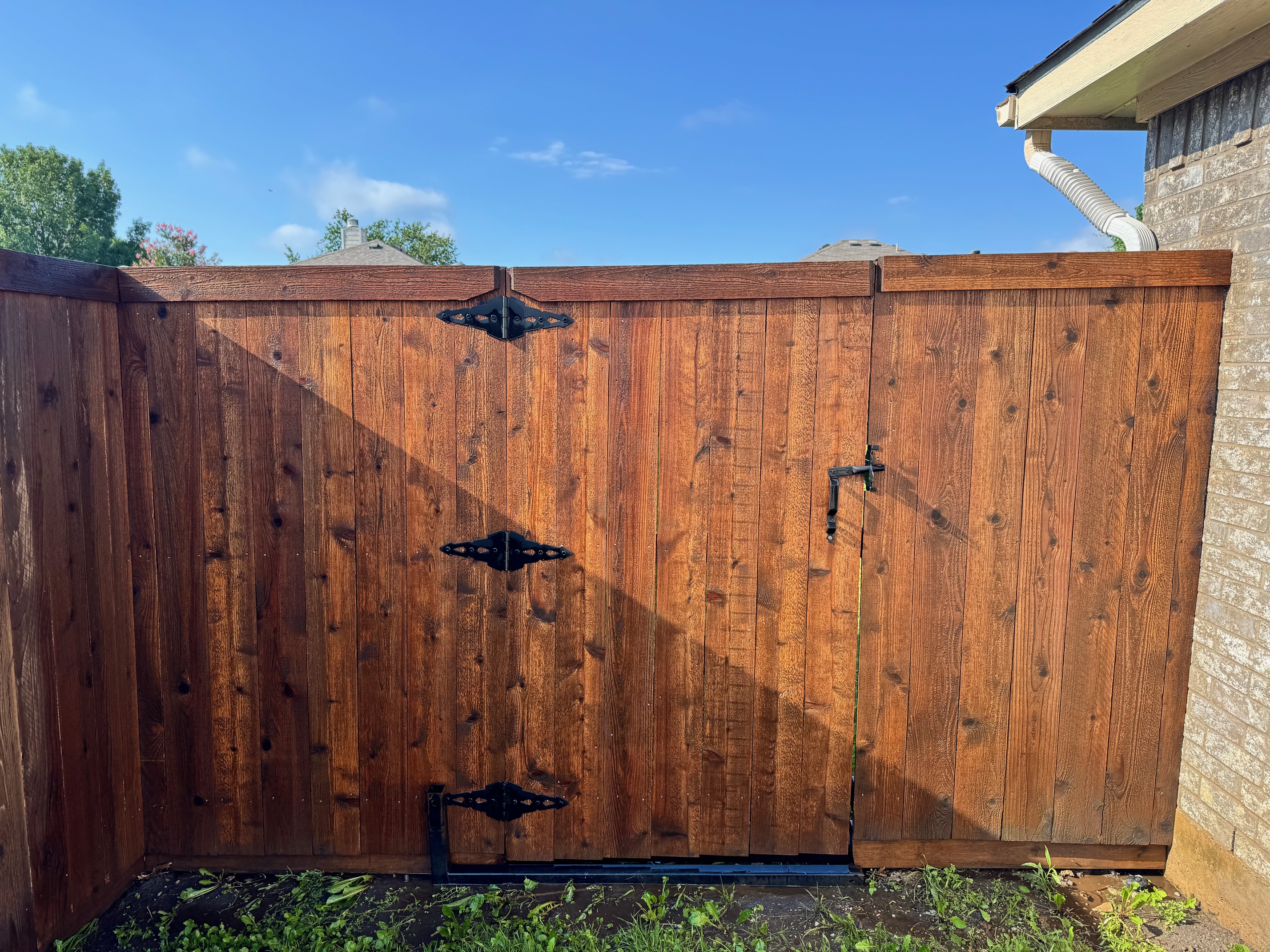 After Fence Cleaning